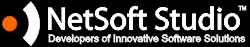 NetSoft Studio, Developers of BizWizard Order Manager and BizWizard ShopKart, awards shopping cart and order management software for the awards and trophy industry - Click to go to our main web page